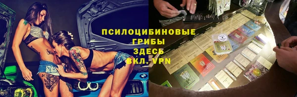молекула духа Алексеевка