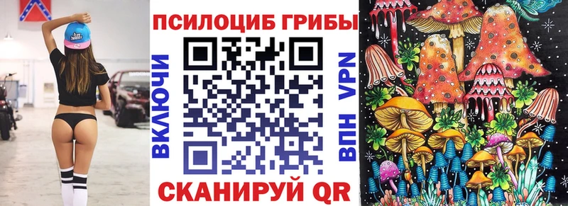 сколько стоит  Алексеевка  Псилоцибиновые грибы прущие грибы 